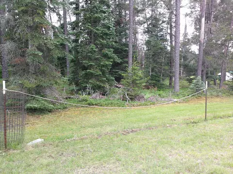 Shaw Park Road, Grayling, MI 49738 photo 5