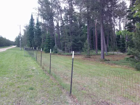 Shaw Park Road, Grayling, MI 49738 photo 3