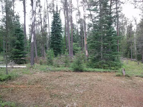 Shaw Park Road, Grayling, MI 49738 photo 10