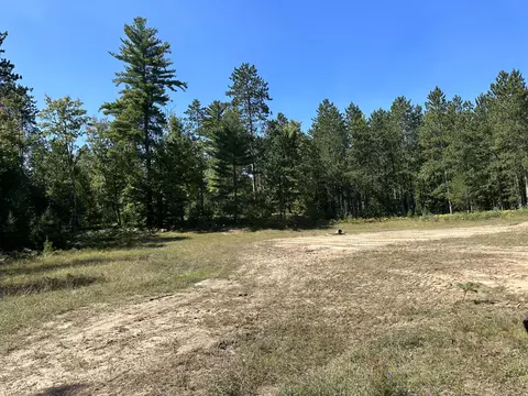 Old Vanderbilt Road, Vanderbilt, MI 49795 photo 6