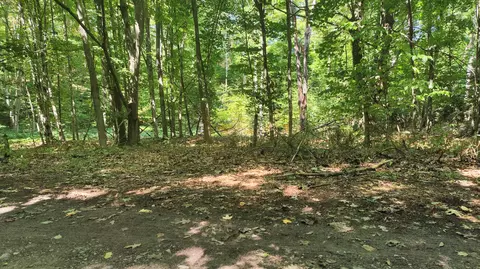 594 Wandering Woods Court Beaver Island Mi 49782 Ct, Beaver Island, MI 49782