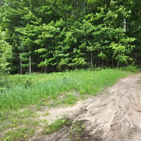 Nhn Lakeshore Drive, Harrisville, MI 48740