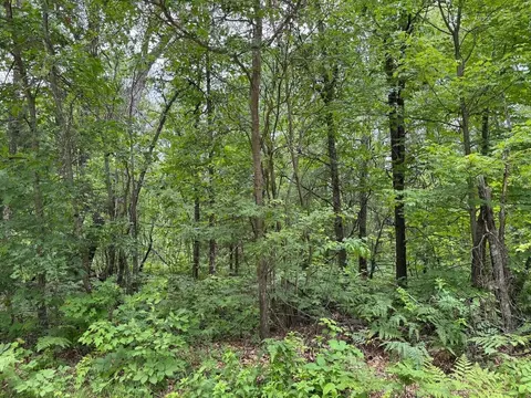 lot33 Highland Trail Houghton Lake Mi 48629 Trl, Houghton Lake, MI 48629