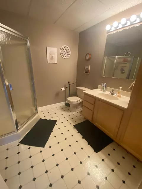 Bath - 4271 N Abbe Road Comins Mi 48619 Rd, Comins, MI 48619 photo 3 of 3