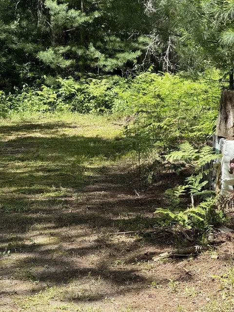 122 White Pine Drive Roscommon Mi 48653 Dr, Roscommon, MI 48653 photo 44