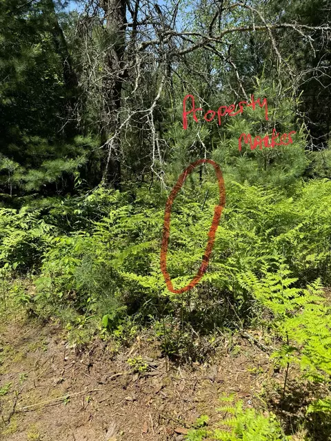122 White Pine Drive Roscommon Mi 48653 Dr, Roscommon, MI 48653 photo 45
