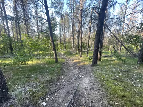 Parma Road, Grayling, MI 49738 photo 4