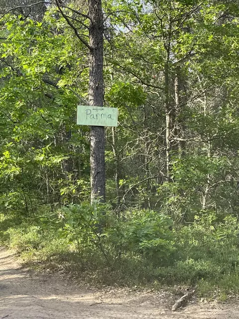 Parma Road, Grayling, MI 49738