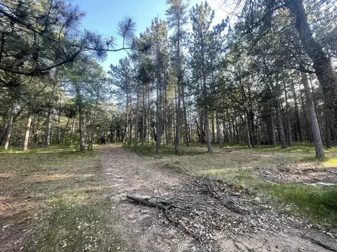 Parma Road, Grayling, MI 49738 photo 14
