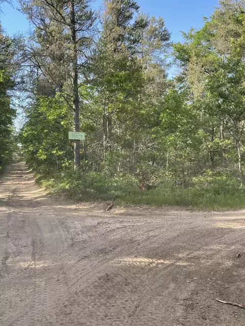 Parma Road, Grayling, MI 49738 photo 3