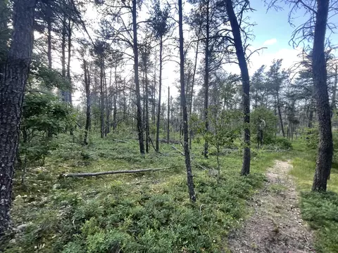Parma Road, Grayling, MI 49738 photo 9