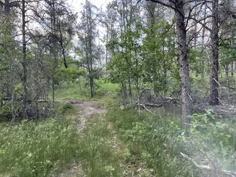 Parma Road, Grayling, MI 49738 photo 7