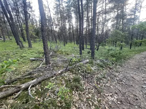 Parma Road, Grayling, MI 49738 photo 5