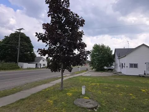 7949 Mill Street Vanderbilt Mi 49795 St, Vanderbilt, MI 49795 photo 10