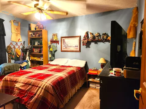 480 E Marlette Rd, Frederic, MI 49733 photo 32