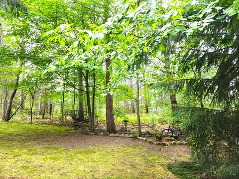 480 E Marlette Rd, Frederic, MI 49733 photo 5