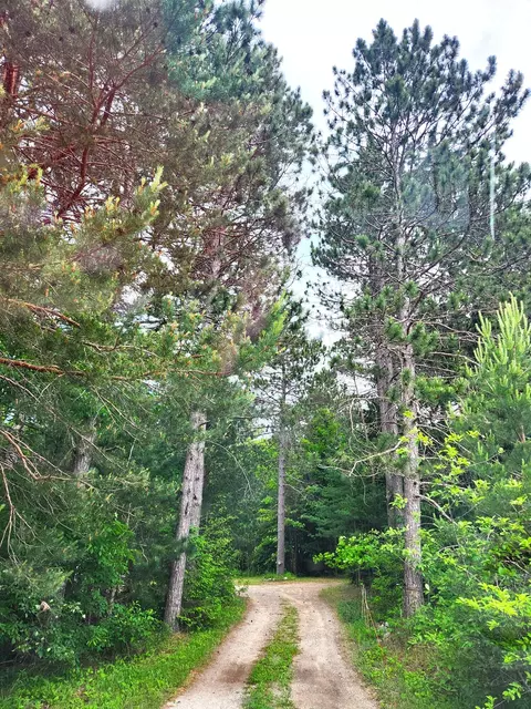 480 E Marlette Rd, Frederic, MI 49733 photo 3
