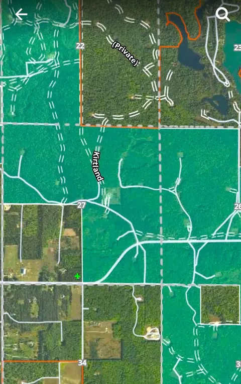 480 E Marlette Rd, Frederic, MI 49733 photo 12