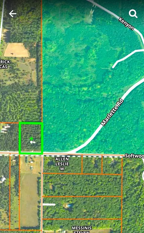 480 E Marlette Rd, Frederic, MI 49733 photo 4