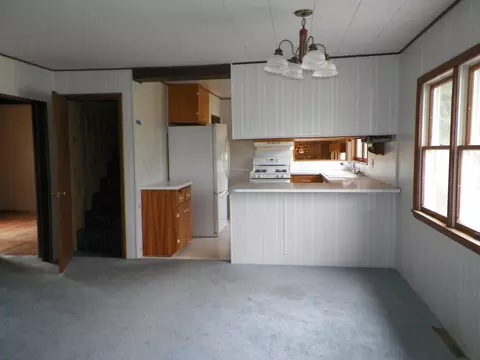 Other - 4790 E Brutus Rd, Alanson, MI 49706 photo 3 of 4