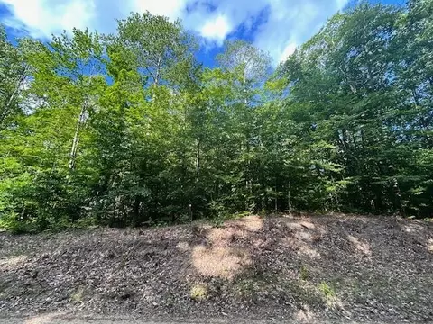 Hunters Ridge, Gaylord, MI 49735