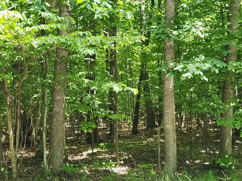 Eagles Nest & Needles Road, Indian River, MI 49749