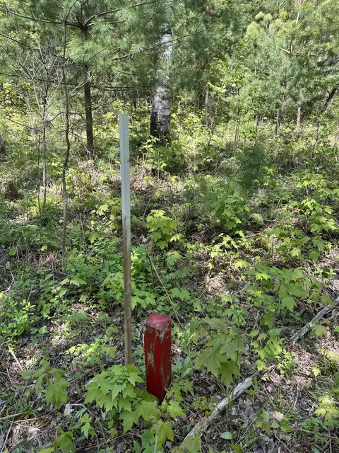 6424 N Sherman Road Frederic Mi 49733 Rd, Frederic, MI 49733 photo 15