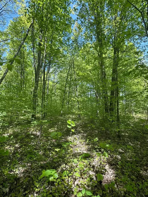 6424 N Sherman Road Frederic Mi 49733 Rd, Frederic, MI 49733 photo 2