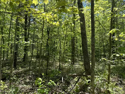 6424 N Sherman Road Frederic Mi 49733 Rd, Frederic, MI 49733 photo 18