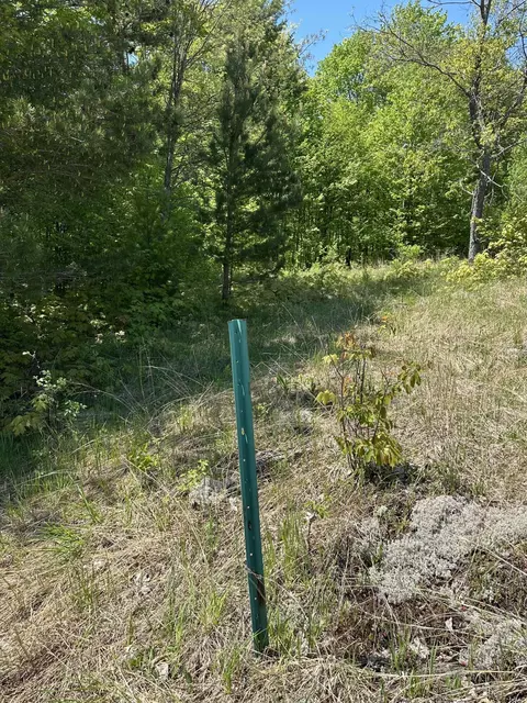 6424 N Sherman Road Frederic Mi 49733 Rd, Frederic, MI 49733 photo 14