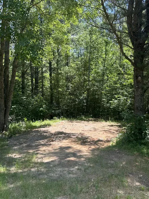 6424 N Sherman Road Frederic Mi 49733 Rd, Frederic, MI 49733 photo 9
