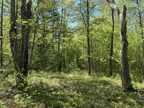6424 N Sherman Road Frederic Mi 49733 Rd, Frederic, MI 49733 photo 17