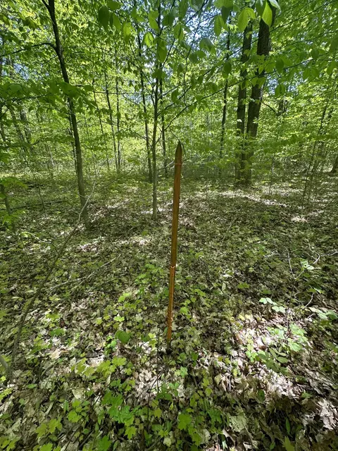 6424 N Sherman Road Frederic Mi 49733 Rd, Frederic, MI 49733 photo 11