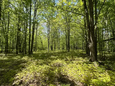 6424 N Sherman Road Frederic Mi 49733 Rd, Frederic, MI 49733