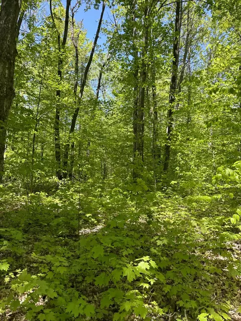 6424 N Sherman Road Frederic Mi 49733 Rd, Frederic, MI 49733 photo 19
