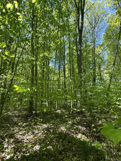 6424 N Sherman Road Frederic Mi 49733 Rd, Frederic, MI 49733 photo 12