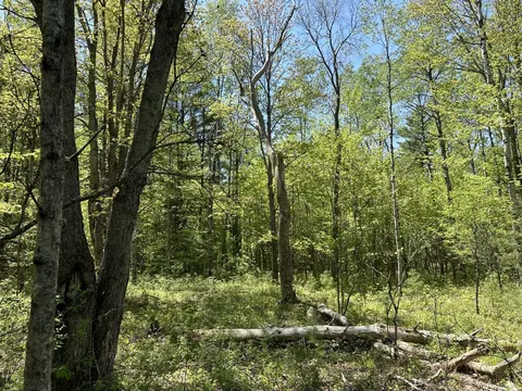6424 N Sherman Road Frederic Mi 49733 Rd, Frederic, MI 49733 photo 16