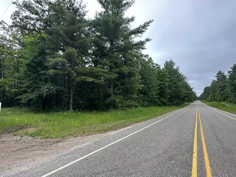 Co Rd 489, Lewiston, MI 49756 photo 3