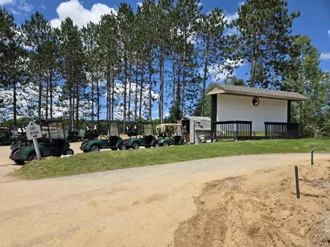 24 Cubs Way Vanderbilt Mi 49795, Vanderbilt, MI 49795 photo 10