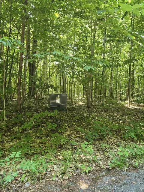 24 Cubs Way Vanderbilt Mi 49795, Vanderbilt, MI 49795 photo 5