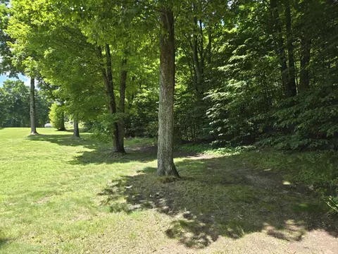 24 Cubs Way Vanderbilt Mi 49795, Vanderbilt, MI 49795 photo 4