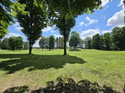 24 Cubs Way Vanderbilt Mi 49795, Vanderbilt, MI 49795 photo 3