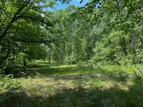 lot35 Downs Road Prudenville Mi 48651 Rd, Prudenville, MI 48651