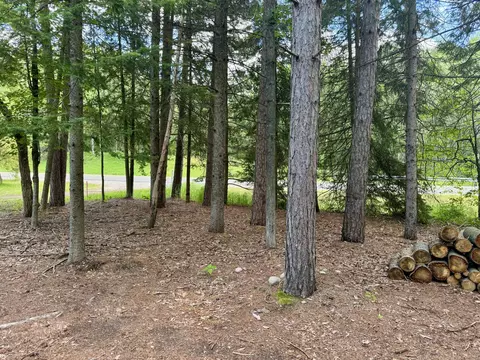 Exterior - 2694 S Mt Tom Rd, Mio, MI 48647 photo 6 of 9