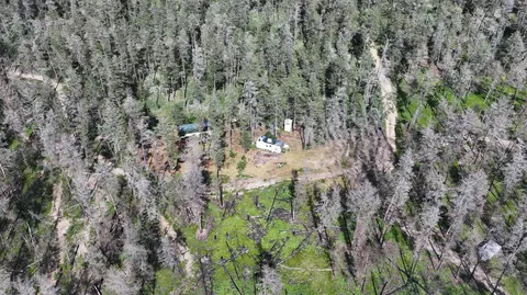 Wilderness Trail, Grayling, MI 49738