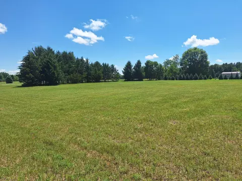 N Stevens Road, Lake City, MI 49651