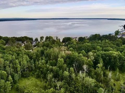 Cedar Drive, Indian River, MI 49749