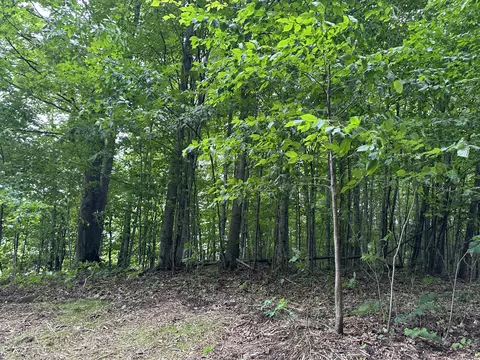 4935 Woodman Rd, South Boardman, MI 49680