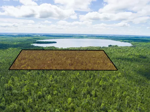 80 Acres Near Loop Rd Posen Mi 49776, Posen, MI 49776