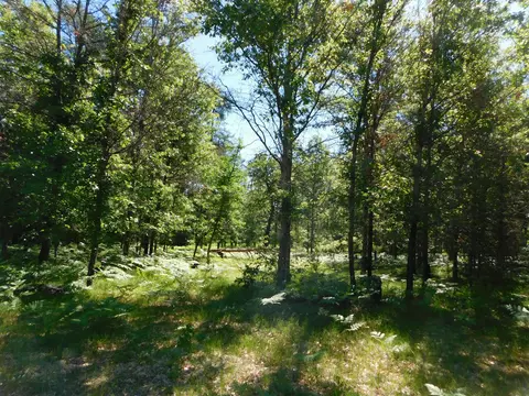 S Horseshoe Trail, Grayling, MI 49738